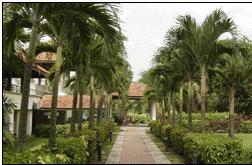 Palm Resort Golf & Country Club (